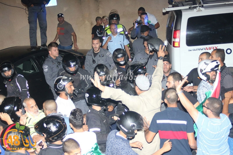 Marisa rashorata (1).jpg